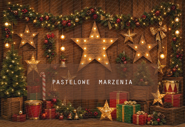 Fabric photographic background from the Christmas category, Frame 290x200 cm
