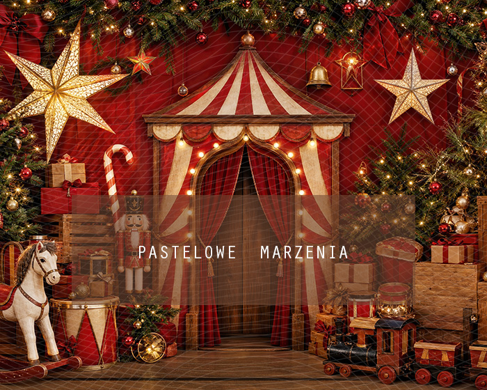 Fabric photographic background from the Christmas category, Frame 250x200 cm