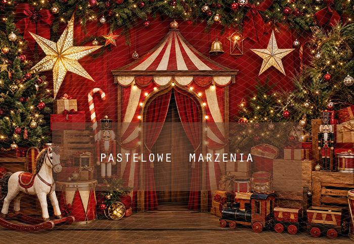 Fabric photographic background from the Christmas category, Frame 290x200 cm