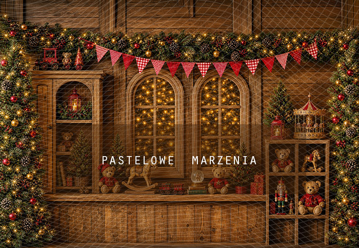 Fabric photographic background from the Christmas category, Frame 290x200 cm