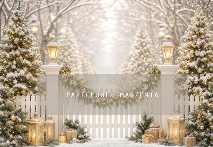 Fabric photographic background from the Christmas category, Frame 290x200 cm