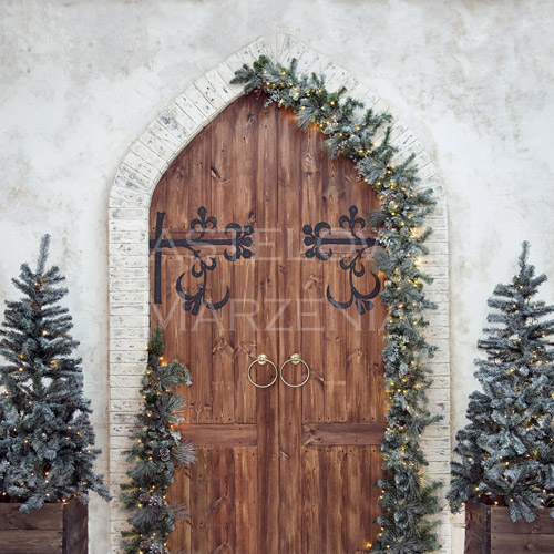 Fabric photographic backdrop from the Christmas category, Frame 250x250 cm